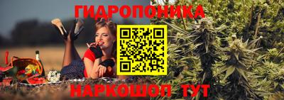 шишки Малоярославец