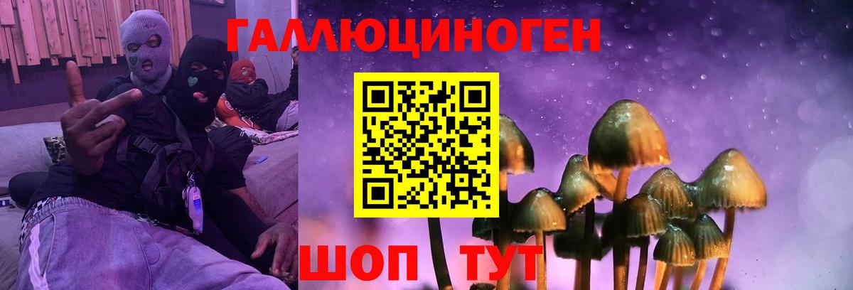 Галлюциногенные грибы мухоморы  Вход с VPN  Торжок 